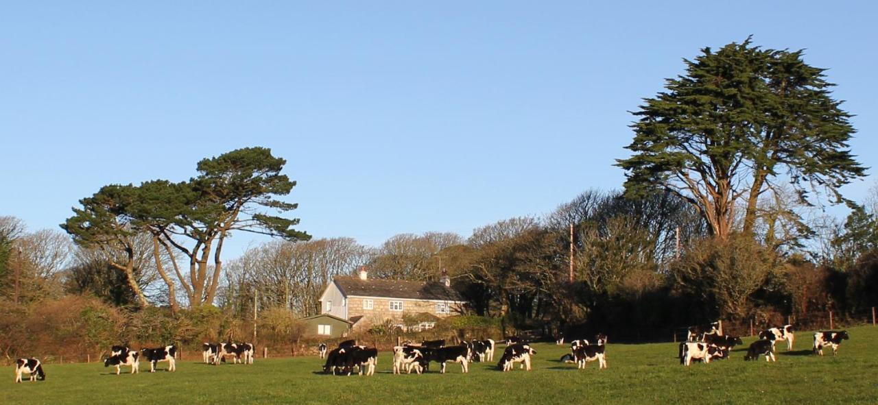 St IvesCoombe Farmhouse住宿加早餐旅馆 外观 照片