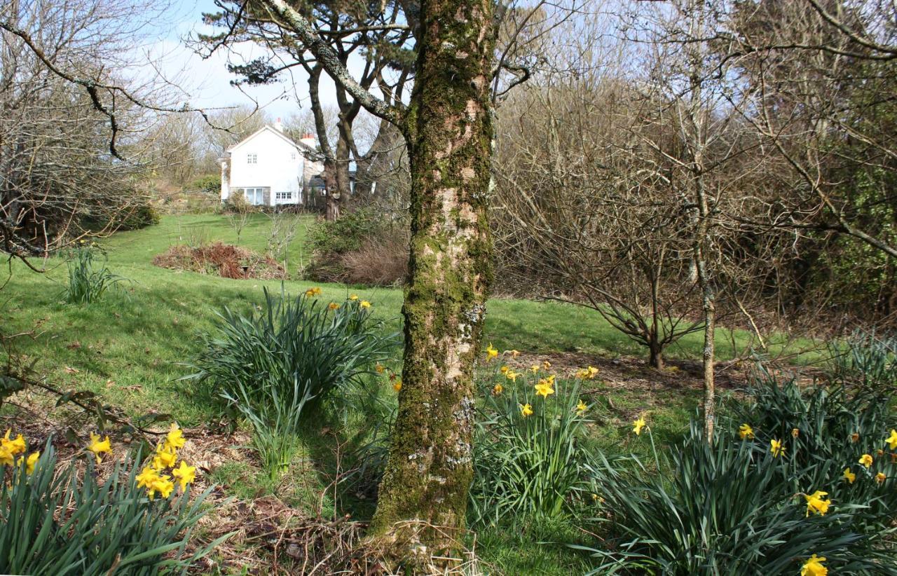 St IvesCoombe Farmhouse住宿加早餐旅馆 外观 照片